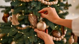 Dónde armarel árbol de Navidad para que no perjudique tu internet. Foto: Shutterstock