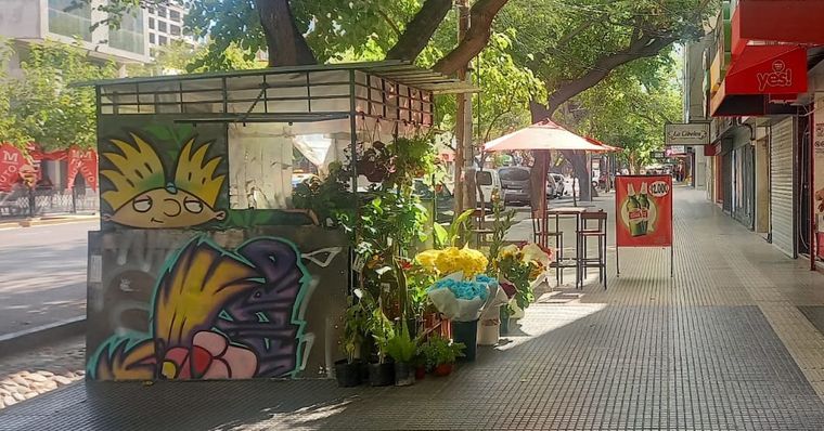 Avenida Colón: un puesto de flores normal. Así debería ser en toda la ciudad. Avenida Colón: un puesto de flores normal. Así debería ser en toda la ciudad.