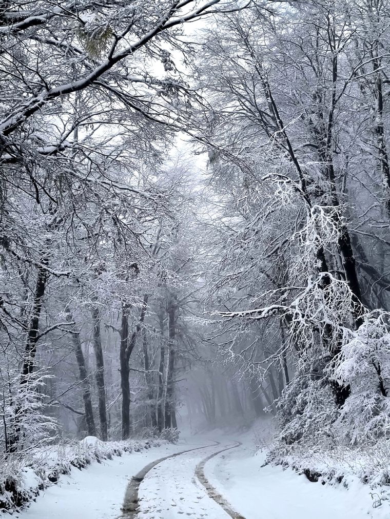 Bariloche se prepara para una gran temporada aunque con un importante aumento de costos Foto: Turismo Bariloche