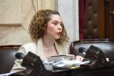 La diputada mendocina Lourdes Arrieta habló durante el debate por la baja de edad de imputabilidad y adelantó su voto a favor de la medida.