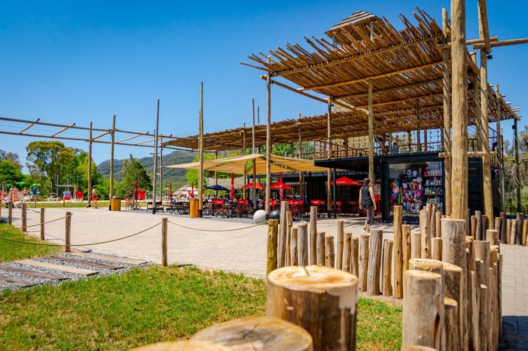 Foto: Facebook mundococoguana