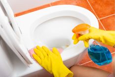 Con este sencillo truco, el inodoro lucirá como nuevo. Foto: Shutterstock
