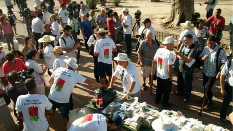 Productores yerbateros buscan que la industria le pague el precio justo, y si no, no entregarán yerba mate, tanto hoja verde como canchada