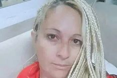 el gobierno le quito los planes a la planera que hizo un raid mediatico