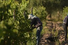 Las economías regionales en la cuerda floja. Un mapa complicado con realidades cambiantes Foto: Walter Moreno/Mdz Las economías regionales en la cuerda floja. Un mapa complicado con realidades cambiantes Foto: Walter Moreno/Mdz