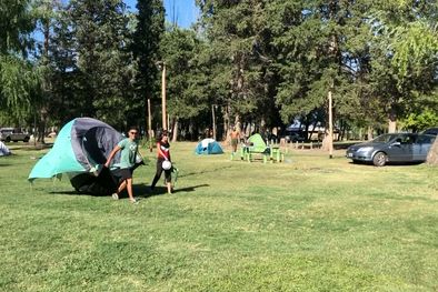 MDZol | Mundo Camping Correr la carpa del sol. Un clásico entre quienes no eligieron el lugar con prudencia. Foto: Foto de video