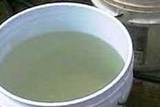 La criatura cayó en el balde, se ahogó y murió a los días