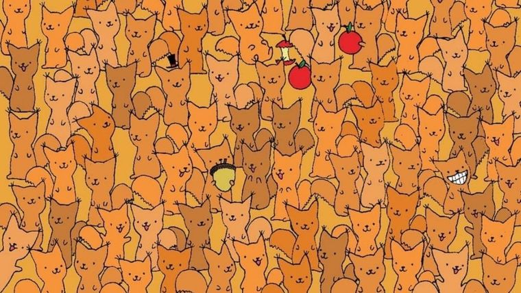 ACERTIJO VISUAL ACERTIJO VISUAL, RETO VISUAL, RATÓN Foto: Archivo MDZ