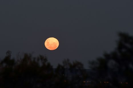 La luna de fresa es ideal para activar rituales de intención concreta. Foto: ALF PONCE MERCADO / MDZ La luna de fresa es ideal para activar rituales de intención concreta. Foto: ALF PONCE MERCADO / MDZ