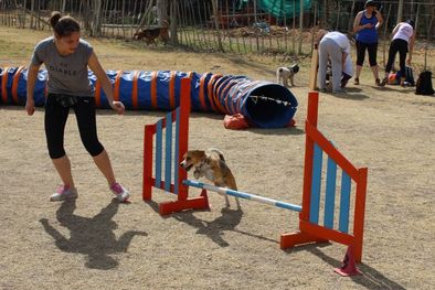MDZol | Foto: Agility Aconcagua