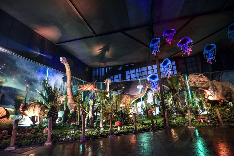 La exposición ideal para visitar durante estas vacaciones de invierno. La exposición ideal para visitar durante estas vacaciones de invierno.