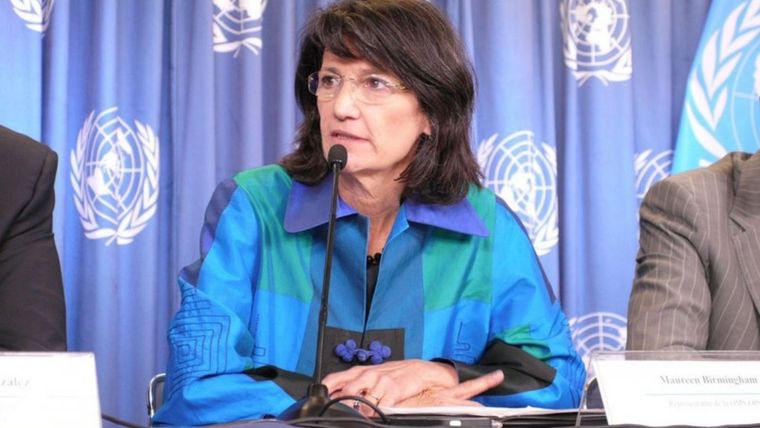 Maureen Birmingham, representante de la OMS.