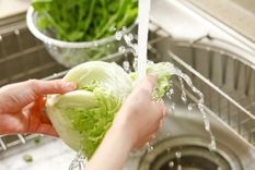 ¿por que deberias evitar consumir alimentos crudos durante la pandemia?