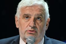 Vilella apuntó contra el Gobierno tras su salida. Foto: NA