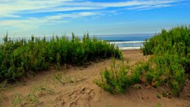 El verano es temporada ideal para disfrutar de su playa extensa. Foto: Facebook Arenas Verdes