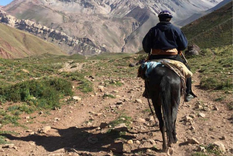 El puesto fue lanzado por el Colegio de Médicos Veterinarios de Mendoza Foto: Tripin Argentina