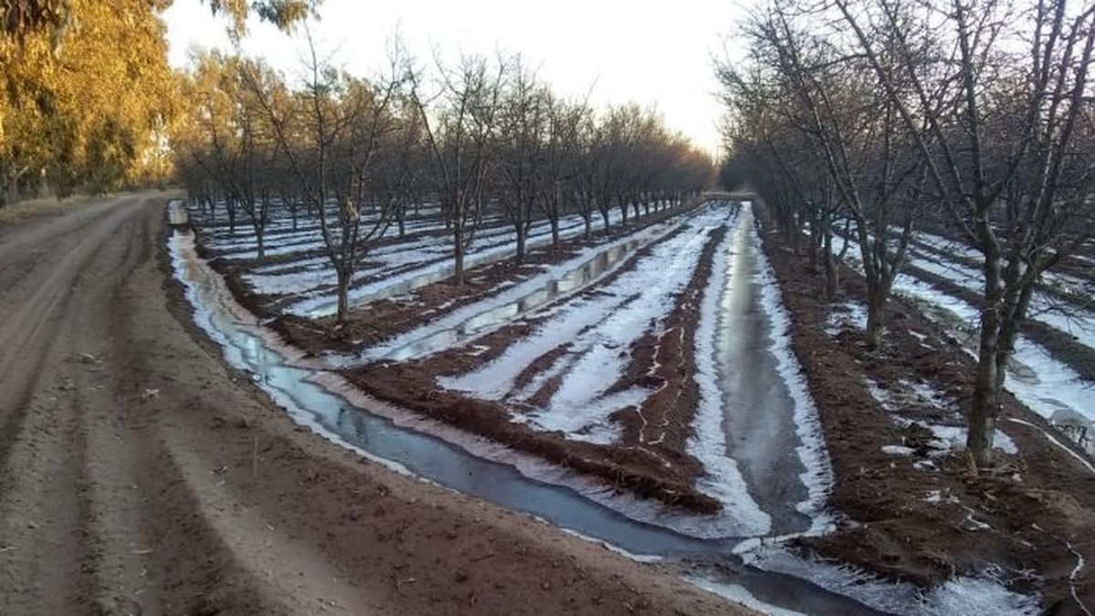 Anuncian un fin de semana largo con heladas intensas y lluvias aisladas en el país