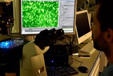 destruyen celulas cancerosas con un metodo de tijeras microscopicas