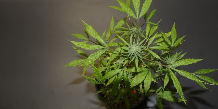 Foto: Pachy Reynoso/MDZ