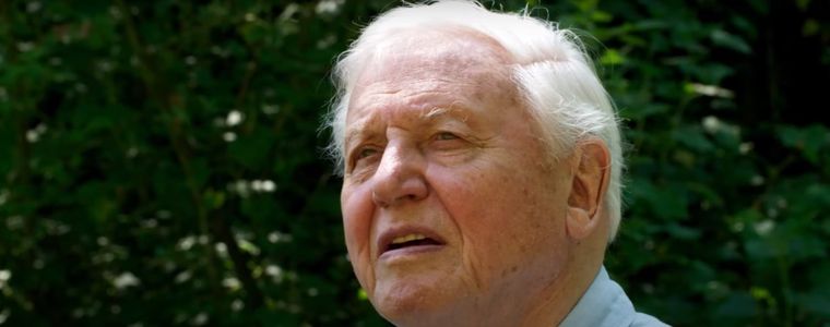 Netflix David Attenborough: Una vida en nuestro planeta Foto: Netflix