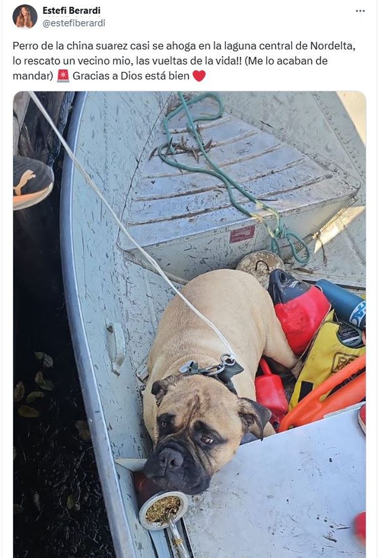 El poste de Estefi Berardi. El poste de Estefi Berardi.