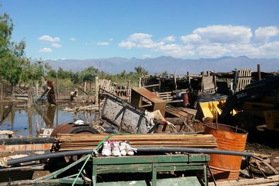MDZol | Foto: Ulises Naranjo.