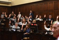 Votación ley 7722 La votación de la derogación de la ley Foto: Pachy Reynoso