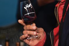 llega una celebracion con los malbec mas sustentables del pais llega una celebracion con los malbec mas sustentables del pais