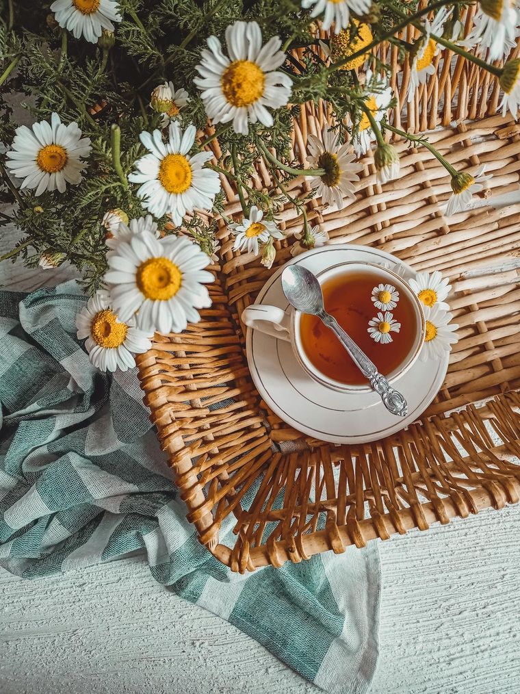 La manzanilla se puede cultivar con un saquito de té. Foto: Pexels
