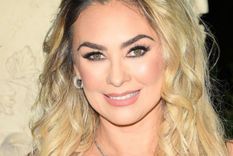 Aracely Arámbula envió una nueva indirecta.