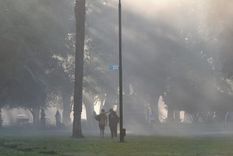 Según el SMN, será una madrugada ventosa en varias zonas de la provincia. Según el SMN, será una madrugada ventosa en varias zonas de la provincia.