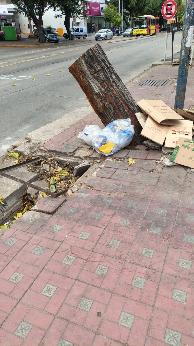 La escena que genera preocupación en Godoy Cruz La escena que genera preocupación en Godoy Cruz