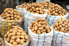 Los productores de papas tuvieron que salir al cruce de versiones poeriodísticas