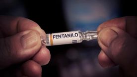 En el reporte de este lunes 23 de junio se supo además sobre que 11 de los 19 centros médicos que recibieron los lotes de fentanilo, contabilizaron muertes. En el reporte de este lunes 23 de junio se supo además sobre que 11 de los 19 centros médicos que recibieron los lotes de fentanilo, contabilizaron muertes.