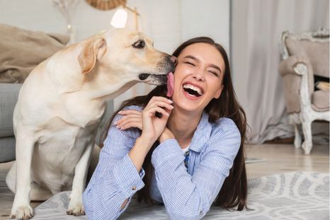 Las mascotas crean una rutina diaria que mejora tu bienestar, conocé los detalles en la nota Foto: Shutterstock