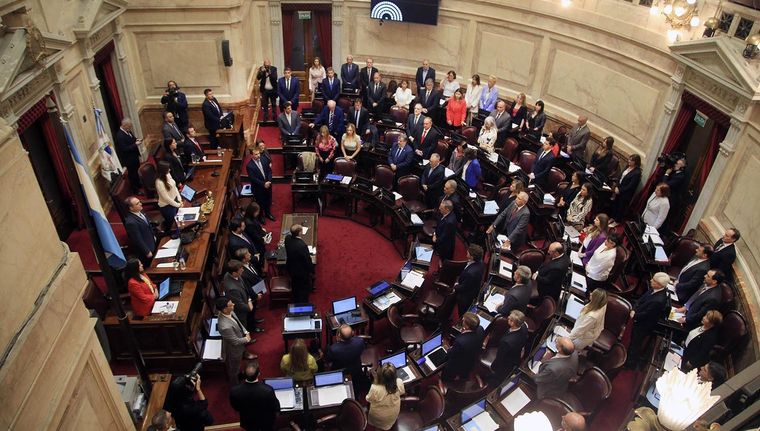 Senadores llamarán a una sesión especial para tratar el proyecto de Emergencia en Discapacidad.