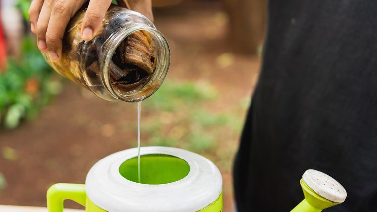 Las mejores preparaciones caseras. Foto: Fuente: Shutterstock