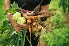 Los vegetales son una fuente clave para ingerir este componente esencial para la salud.