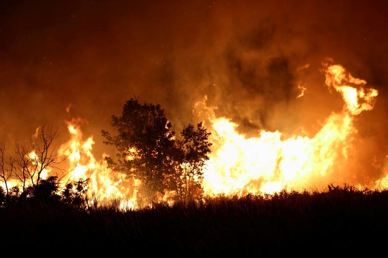 En Mendoza hay récords de más de 50 focos de incendio diarios.