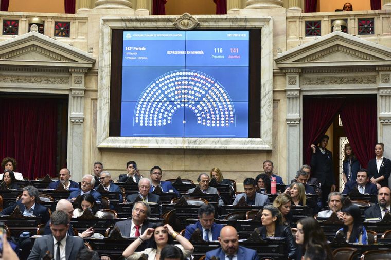 La sesión volvió a caerse. Foto: X (@DiputadosAR)