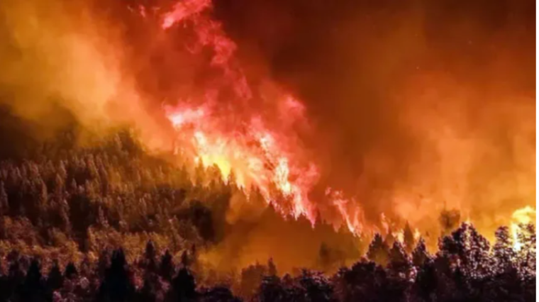 A principios de este año hubo graves incendios en Bariloche. Foto: Agencia Noticias Argentinas/ redes