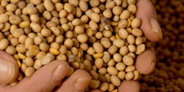 ¿Cuánto coparticipará al Valle de Uco las retenciones sojeras? Foto: varios