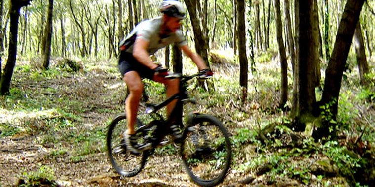 Foto: Andrea Pelleriti