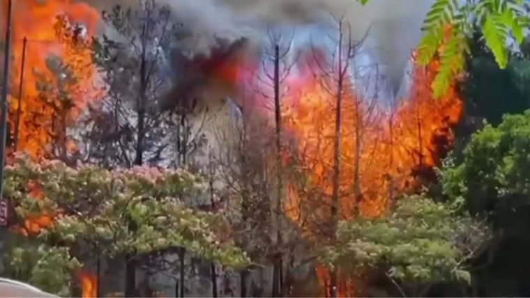 Foto: Captura de video