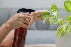 El vinagre ofrece una solución integral para el cuidado del jardín. Conocé los detalles dentro de la nota Foto: Craftología