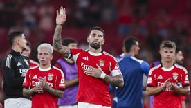 El Benfica de Nicolás Otamendi a un paso de contratar a un histórido DT. El Benfica de Nicolás Otamendi a un paso de contratar a un histórido DT.