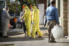 coronavirus en argentina: 6.377 nuevos casos y 153 muertos