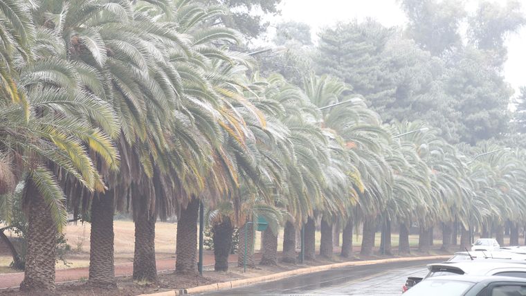 La recomendación es tomar todas las precauciones necesarias para evitar inconvenientes.&nbsp;
