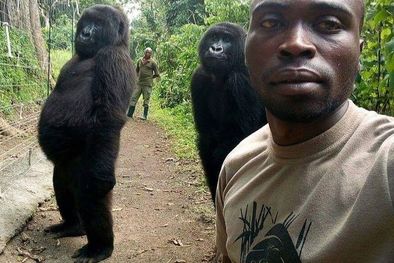 MDZol | Foto: RANGER MATHIEU SHAMAVU