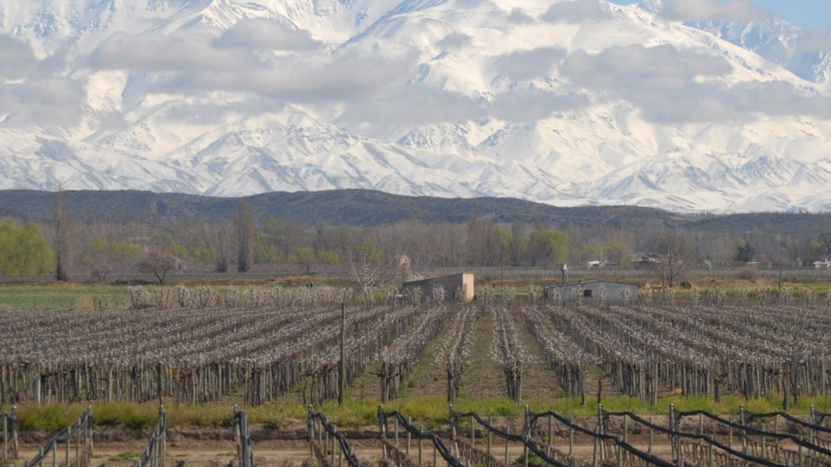 Mendoza se quedó con el 